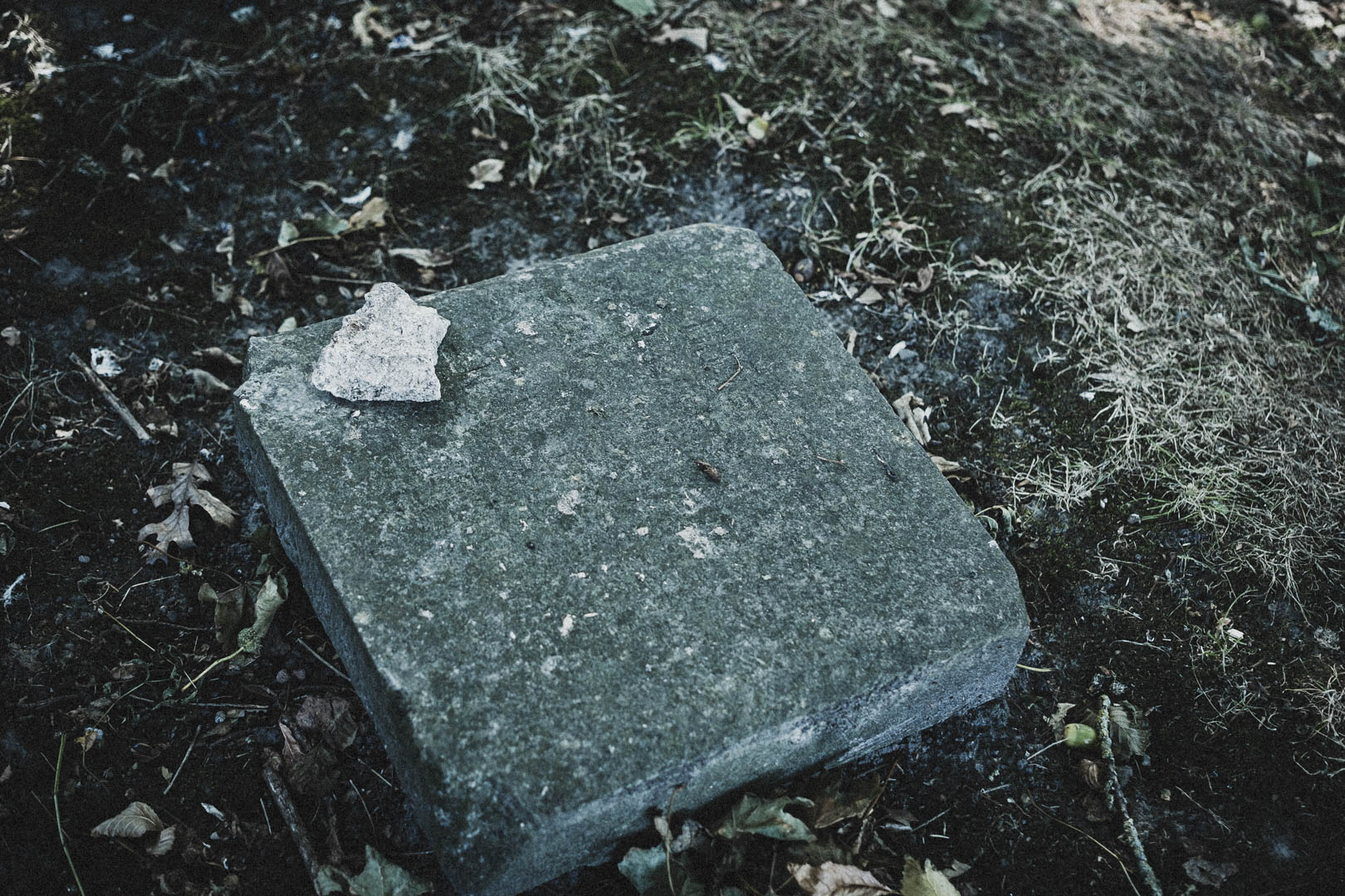 Dornum, Jüdischer Friedhof